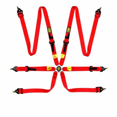 First 6-point FIA harness